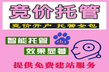 实战案例分享：SEM代运营机构助力企业市场份额